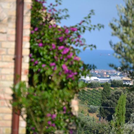 Agriturismo Il Sapore Della Luna Монтепрандоне Екстер'єр фото