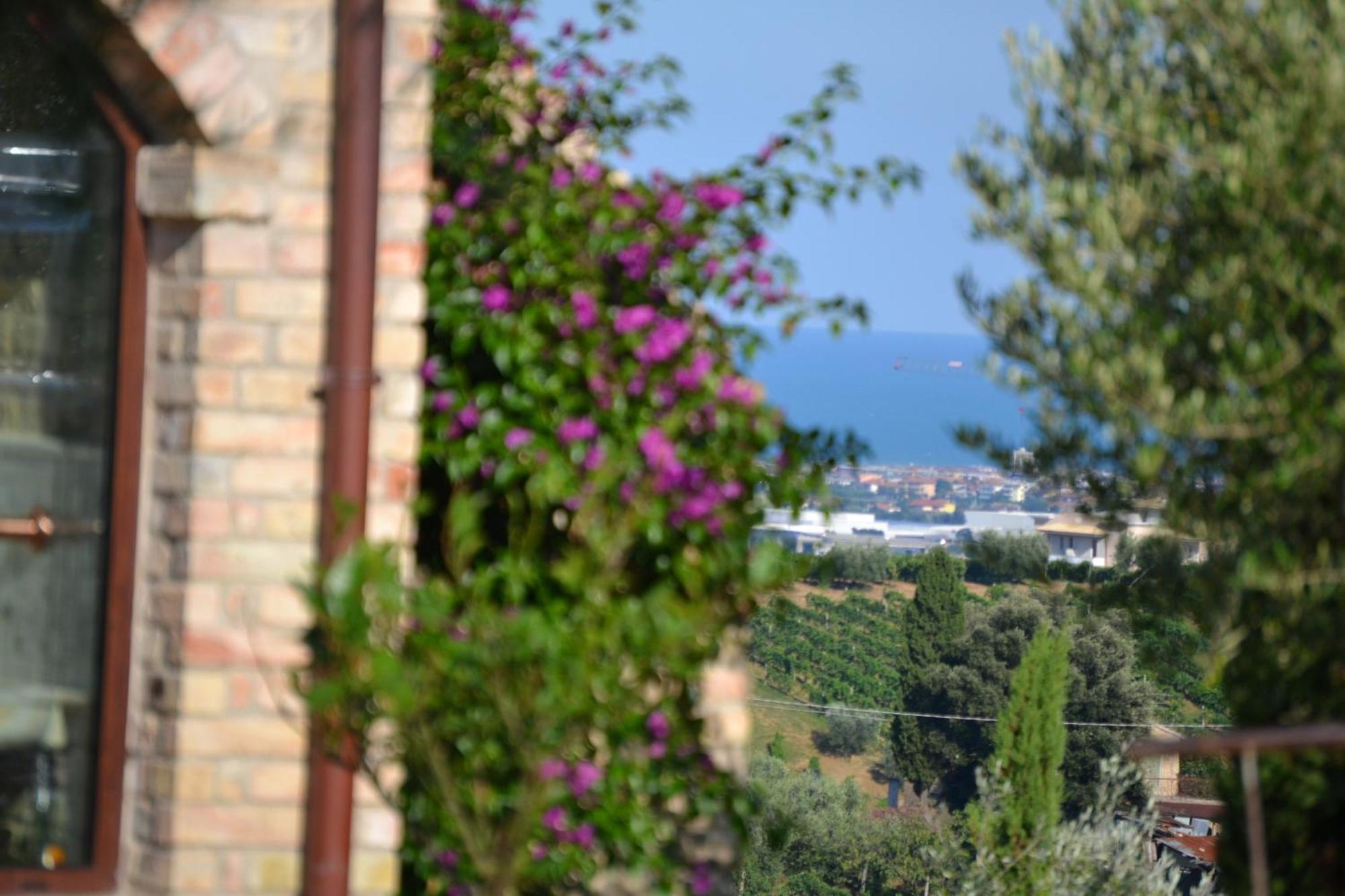 Agriturismo Il Sapore Della Luna Монтепрандоне Екстер'єр фото