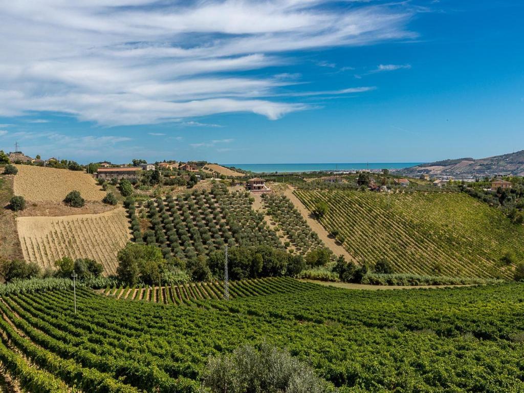 Agriturismo Il Sapore Della Luna Монтепрандоне Екстер'єр фото